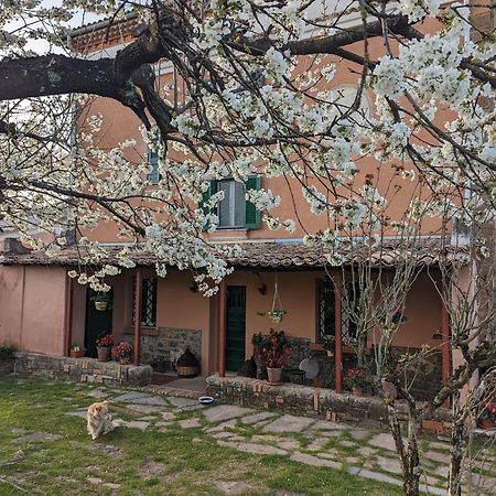 Dimora Marella Patrica - Frosinone Hotel Exterior foto