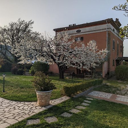 Dimora Marella Patrica - Frosinone Hotel Exterior foto