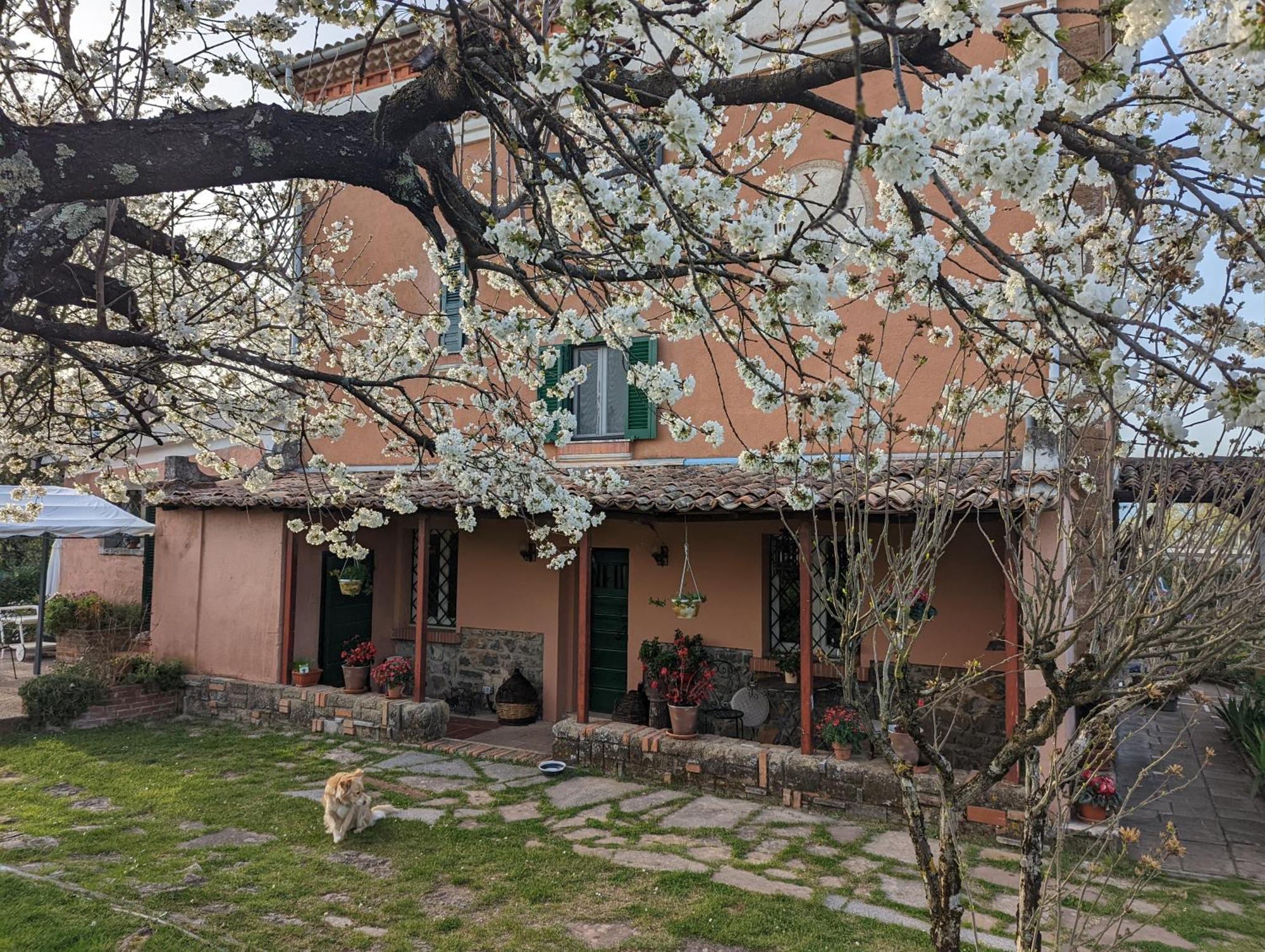 Dimora Marella Patrica - Frosinone Hotel Exterior foto