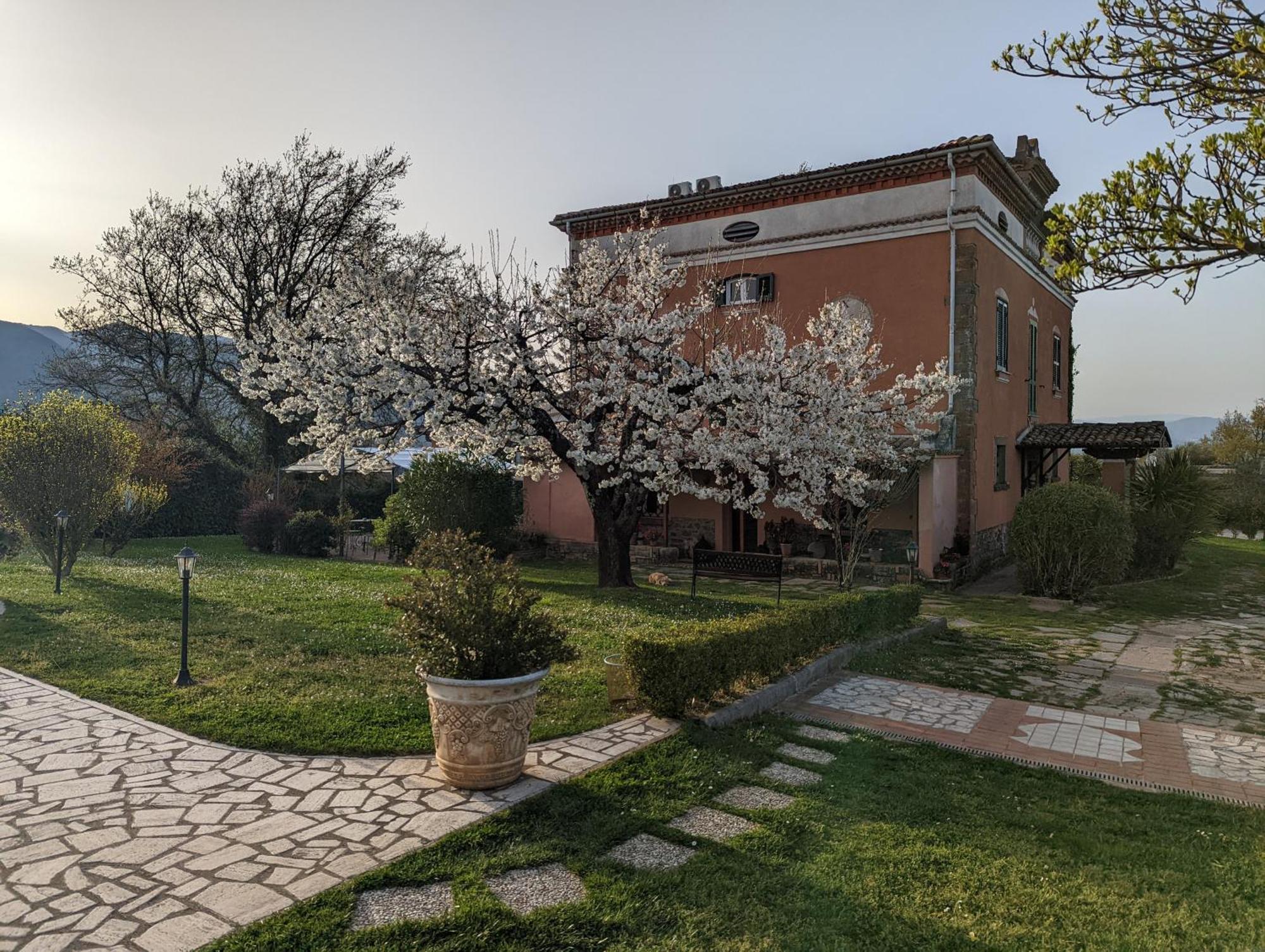 Dimora Marella Patrica - Frosinone Hotel Exterior foto