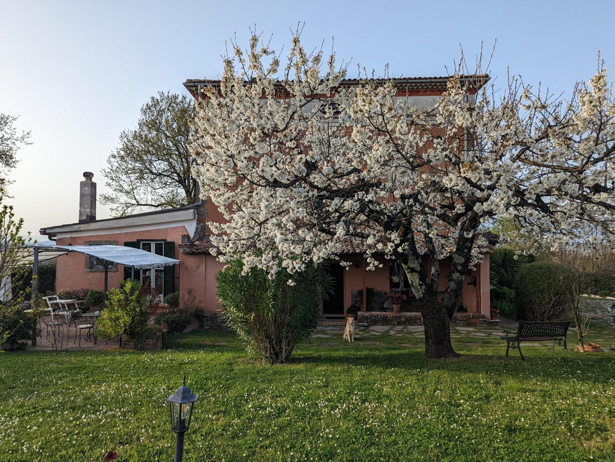 Dimora Marella Patrica - Frosinone Hotel Exterior foto